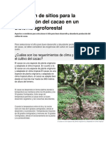 Selección de Sitios para La Producción Del Cacao en Un Sistema Agroforestal