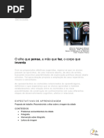 ECOART 0001 Antonio Henrique Amaral_material