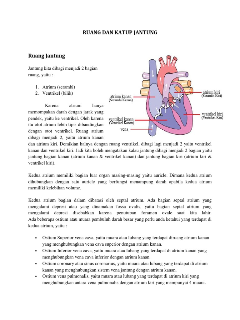 Ruang Jantung | PDF | Perjalanan