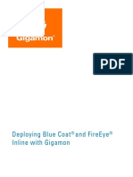 Dg Blue Coat and Fireeye With Gigamon