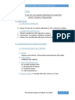 INFORME-CAMINOS-I.docx