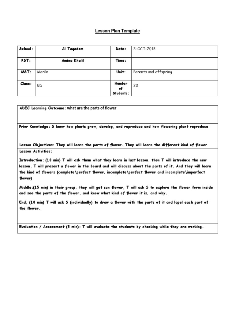 Lesson Paln 1 | PDF