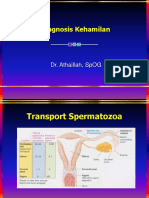 1. Diagnosis Kehamilan