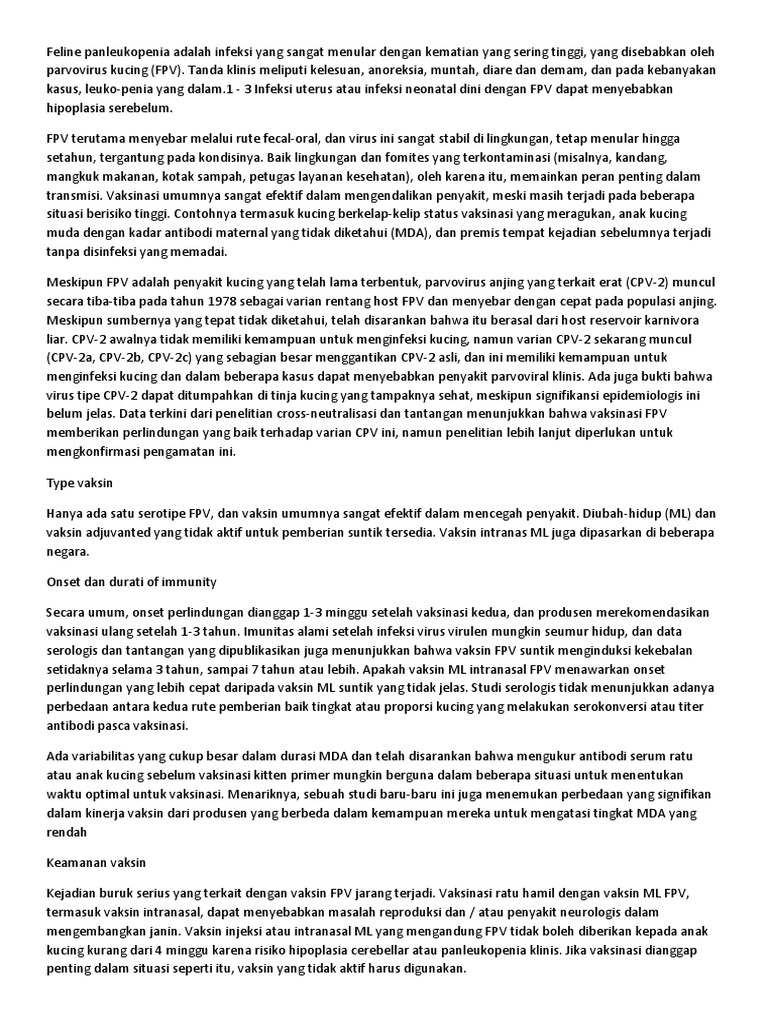 FPV Translate  PDF