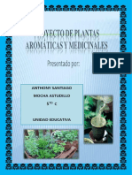 CARATULA PLANTAS MEDICINALES.docx