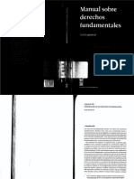 Manualsobrederechosfundamentales_1_