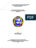 Udang Vannamei PKL Di BBAP Situbondo PDF