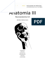 João Nuno Soares Neuroanatomia 3.0.pdf