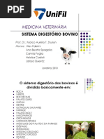 SISTEMA DIGESTÓRIO BOVINO.pdf
