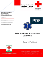 manual-seis-acciones.pdf