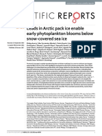 Leads in Arctic Pack Ice Enable Early Phytoplankton Blooms Below Snow-Covered Sea Ice
