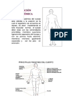 Anatomia Topografica Clase 3