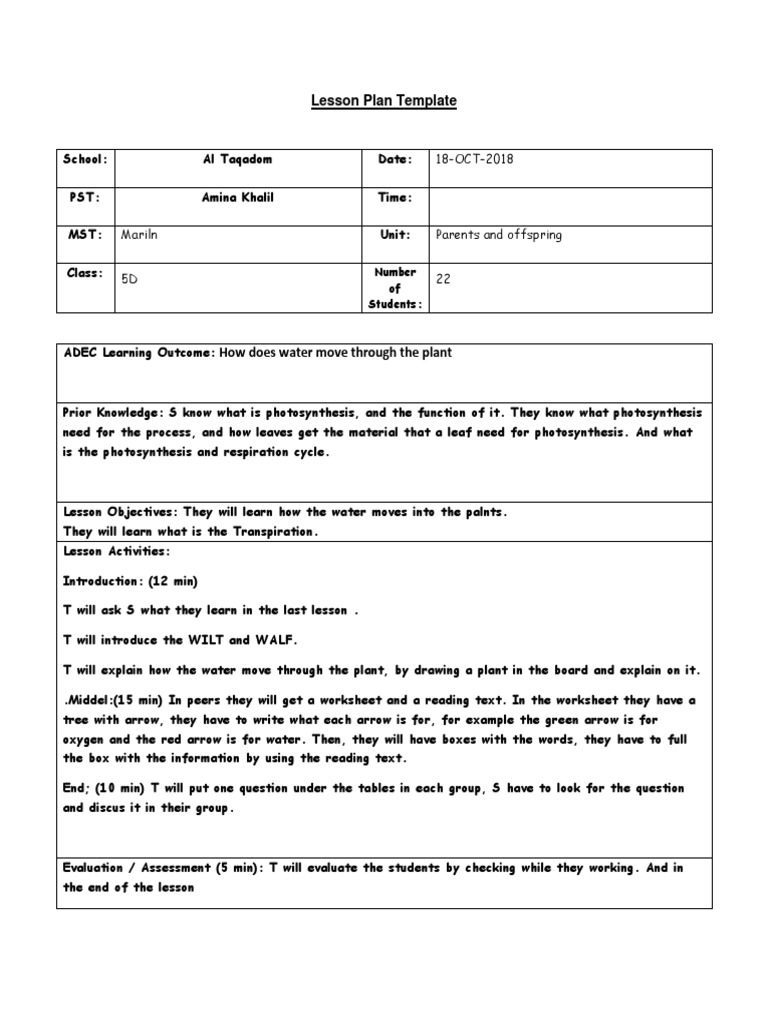 Lesson Plan 4 | PDF