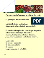 Informacion Del Cafe