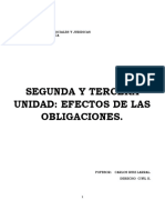 Segunda Y Tercera Unidad: Efectos de Las Obligaciones