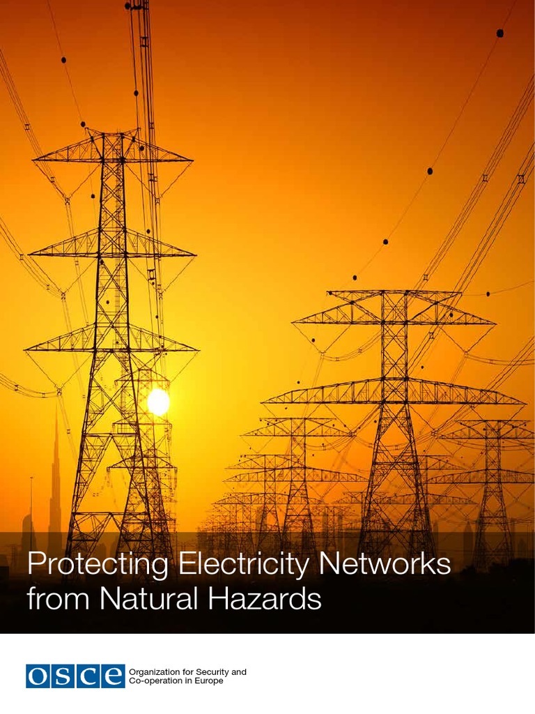 Protecting Electricity Networks From Natural Hazards: Organization For ...