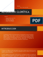 Alteracion Cloritica.pdf