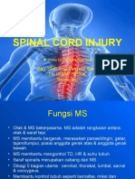 Docuri.com Spinal Cord Injury Ppt