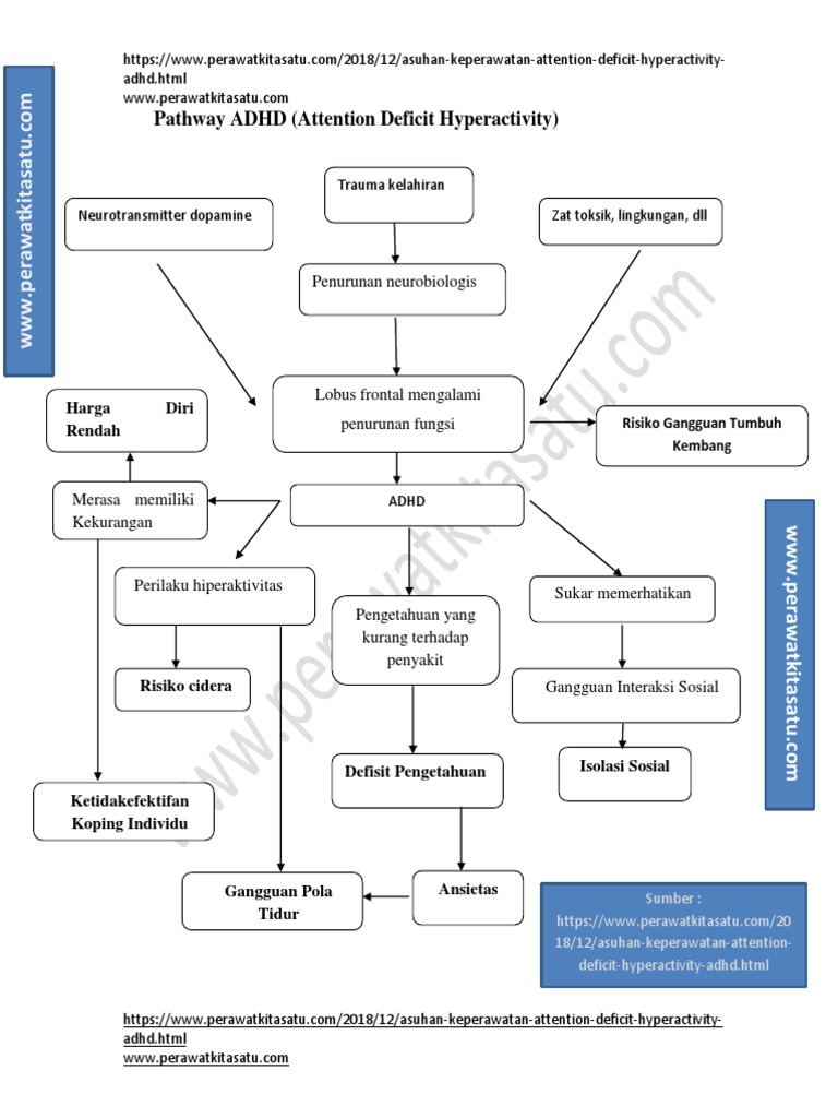 Pathway Asuhan Keperawatan ADHD | PDF