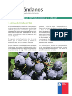 06. Pauta de chequeo Arandanos.pdf