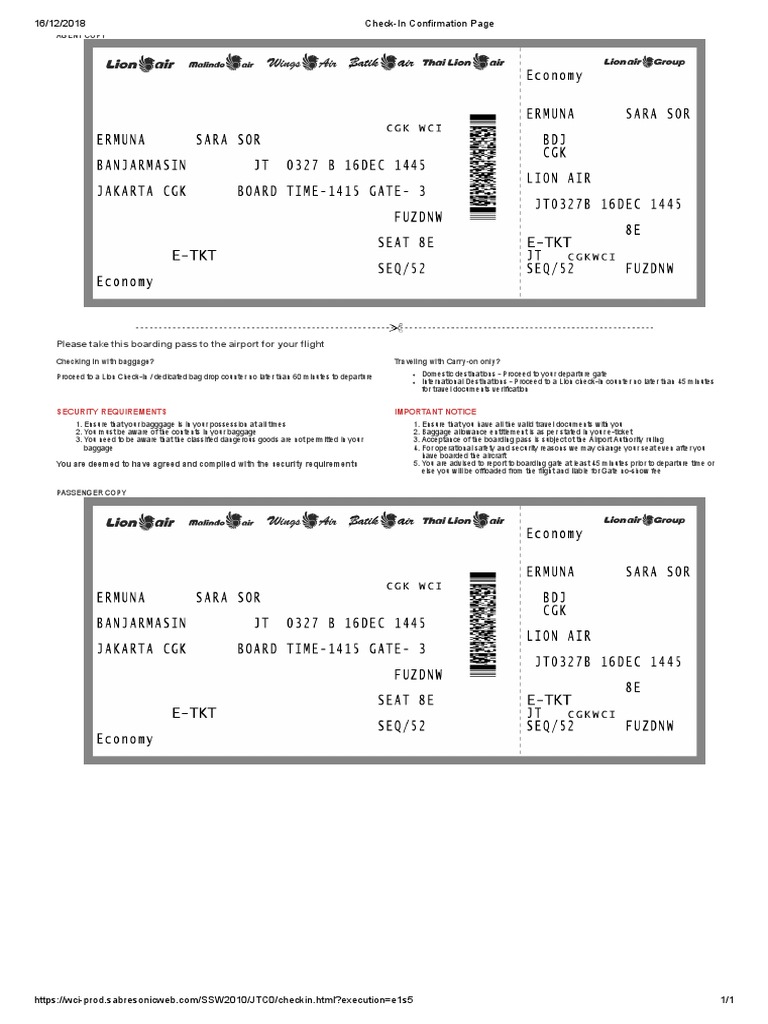 Flight Check-In Guidelines and Requirements | PDF