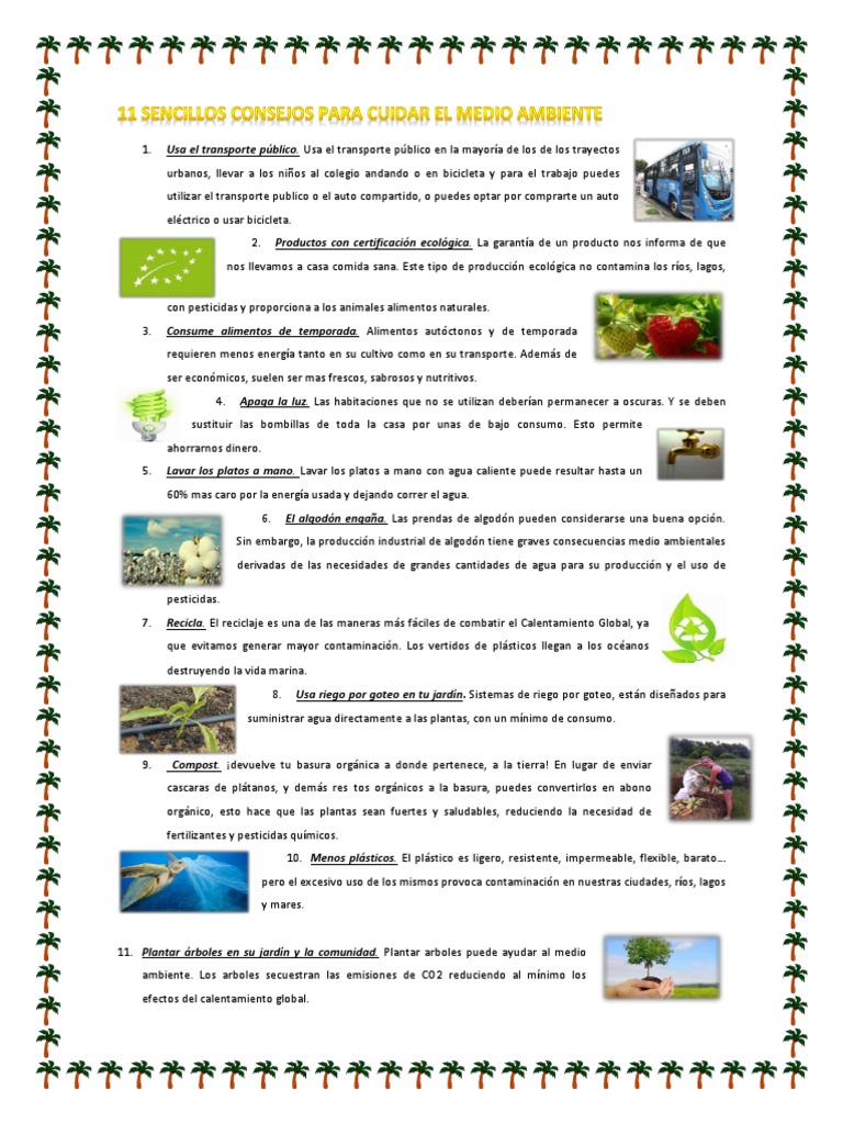 11 Consejos para Cuidar el Medio Ambiente | PDF | Contaminación | Agua