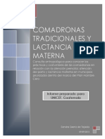 Comadronas Tradicionales y Lactancia Mat PDF