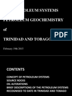 T&T Petroleum Systems.pdf