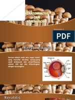 160033 Mushrooms Template 16x9