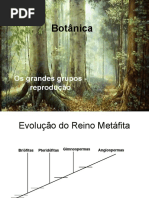 Aula Botanica Compactado