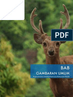 Bab Iv Gambaran Umum PDF