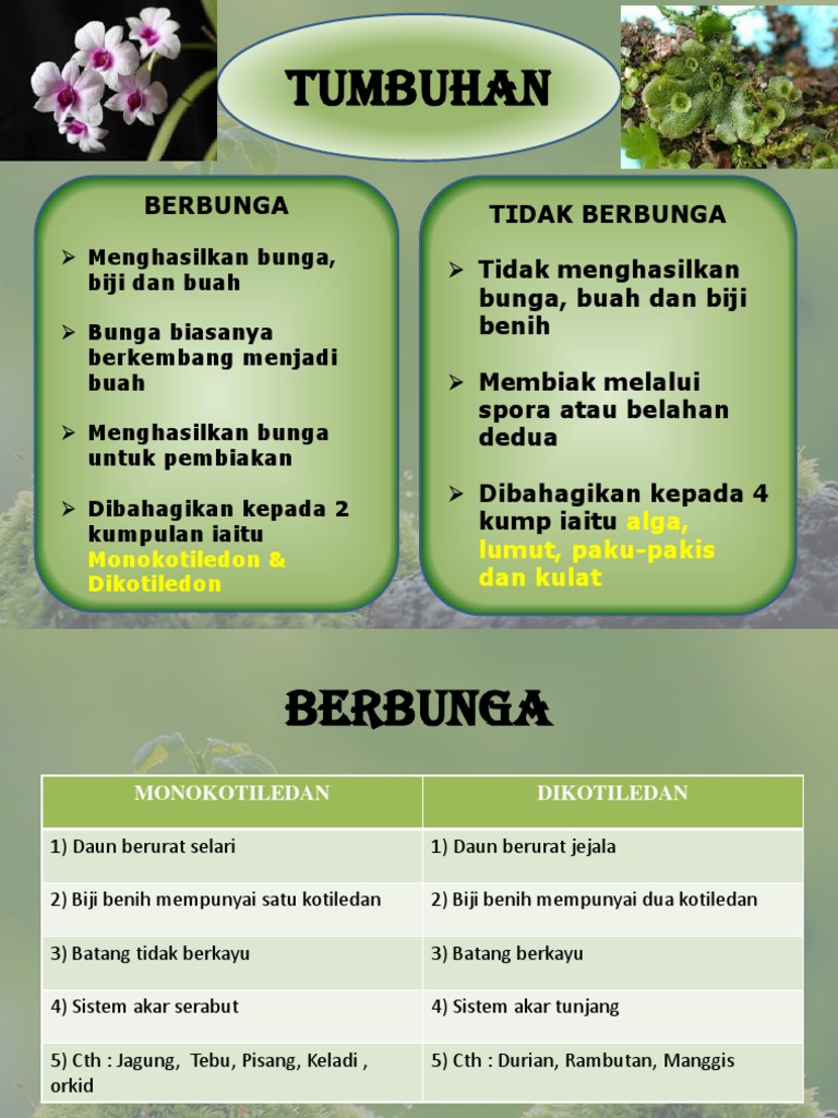Tumbuhan Pdf