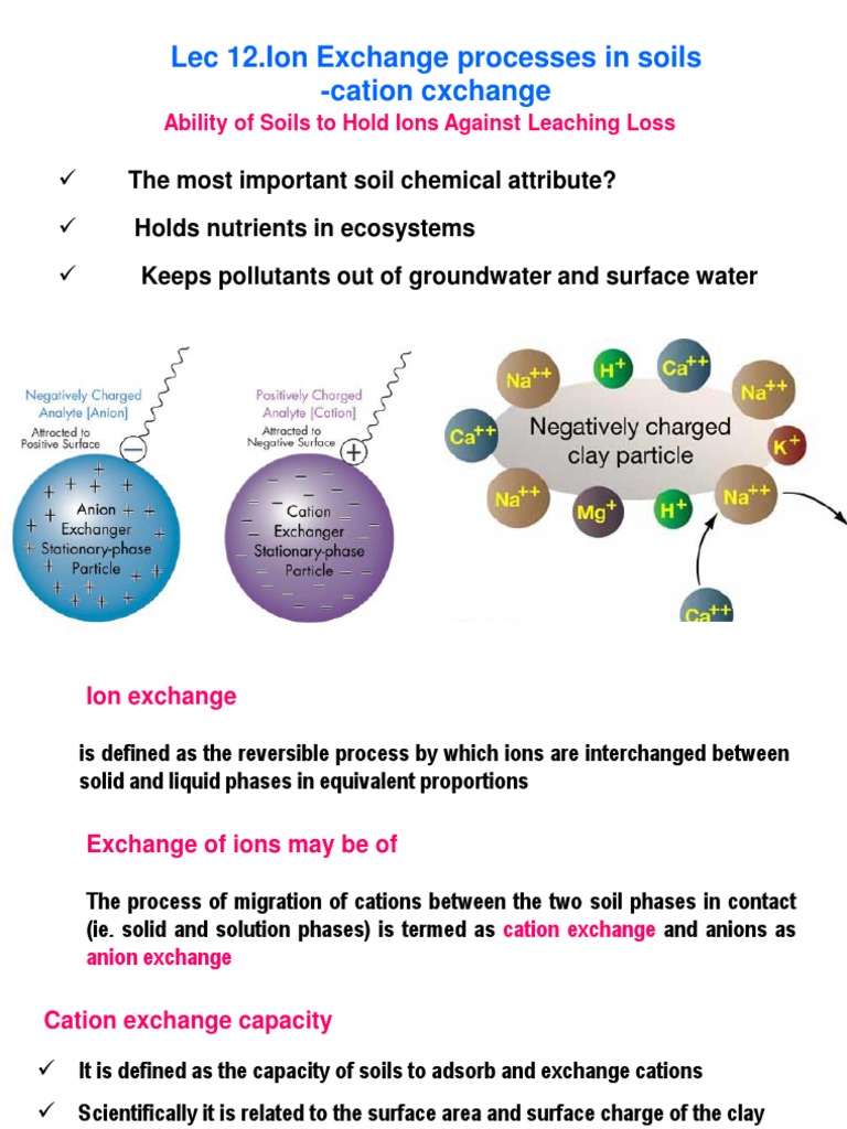 Cation Exchange Capacity in Soils | PDF | Soil | Adsorption