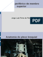 Anatomia e técnicas de bloqueio do plexo braquial