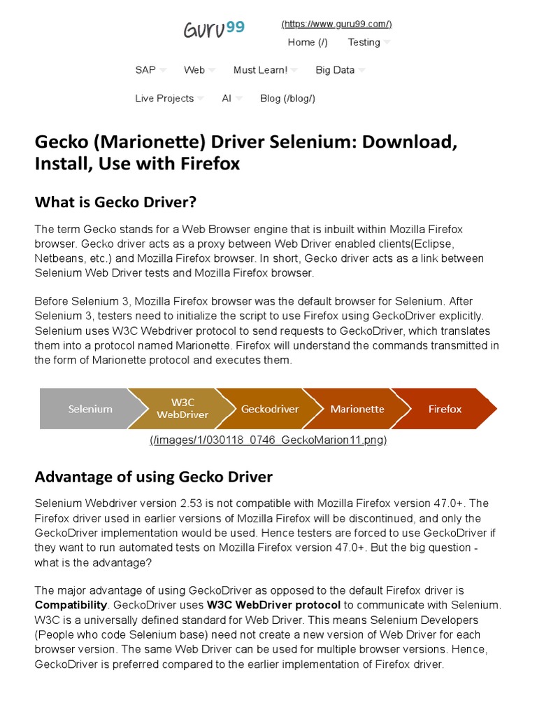 Gecko Driver Selenium Download, Install, Use With Firefox PDF Selenium