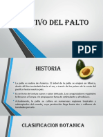 Cultivo Del Palto