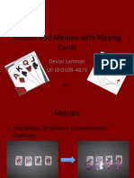 Playing Cards Part 2