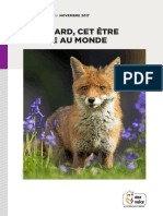 Rapport Renard