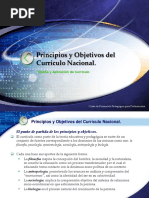 Principios y Objetivos de Curriculo Nacional