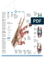 2015-infco-artritis (1)