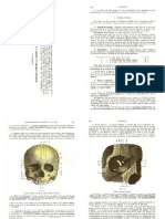 9 - Regiones Comunes Al Cráneo y La Cara - Testut PDF