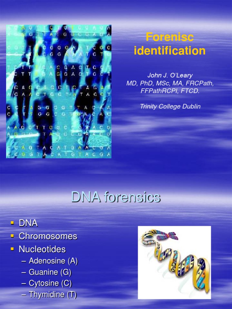 DNA Forensics and Identification | PDF | Single Nucleotide Polymorphism ...
