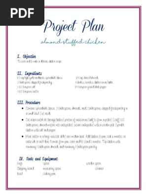 example of project plan