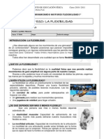 Ficha Flexibilidad 2ºESO