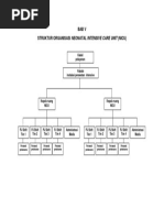 Struktur Organisasi Nicu