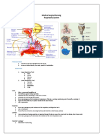 101423584-Respiratory-System.docx