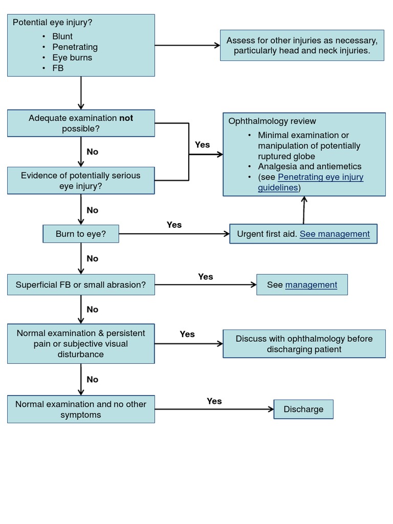 Eye Trauma Management Guidelines | PDF