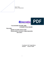 birocratia proiect.doc