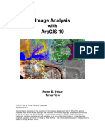 ArcGIS Image Analysis workflow.pdf