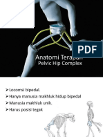 Anatomi Terapan Hip Pelvic Complex